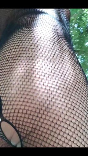 I Love Nets, Lace, Sheer
