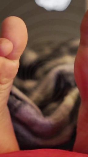 Brainless Foot Slut Training