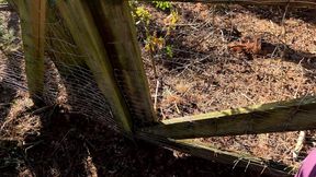 Plump Naked Udders Slapped Near the Fence