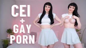 CEI & Gay Porn