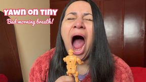 Giantess yawning her bad morning breath on tiny man: big yawns!