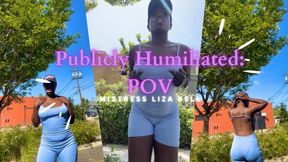 Public Humiliation: POV