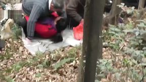 group old grandpa fuck in forest