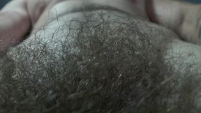 A Alpha's Hairy Pubic Area and Cock