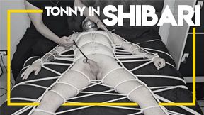 Tonny in Shibari by Brenno Furrier (1080p) Gay Bondage - Gay Domination - Male Bondage - Foot Fetish - BDSM - Ropes - C4SBondage26