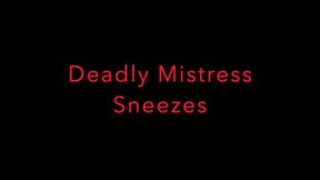 Mistress Wild Sneezing