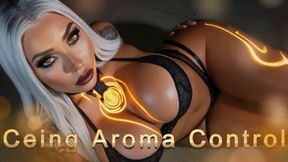Ceing Aroma Control
