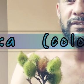 Castor Bean N Paprika