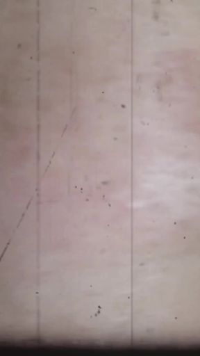 Quicky Midget Backshots