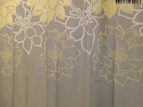 Sierra Rose - 2018-07-08 00:28:08 155