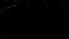 The Evening - Seconds Captur