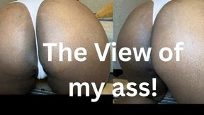 You crave my ass, don’t you?
