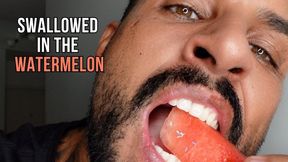 Swallowed in the Watermelon - Lalo Cortez