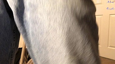 Stud JO In Jeans 2 Cum In Them