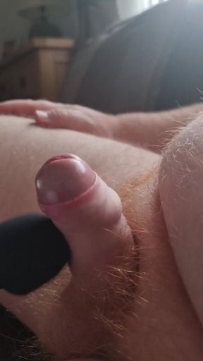 Stepson Makes Daddy Cum on Domi 2