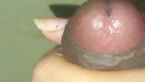 Desi Penis