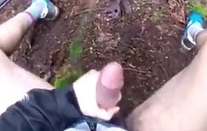 A walk in the wood with happy end