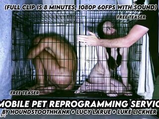 Mobile Pet Reprogramming Service