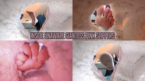 Inside Unaware Giantess Pink Slippers - 4K MP4