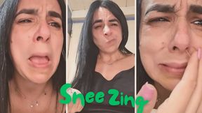 Sneezing + runny nose + allergies