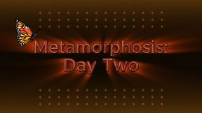Metamorphosis: Day Two