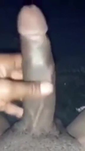 Nata4sex homealone stroking my big hard cock