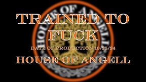 Trained to Fuck