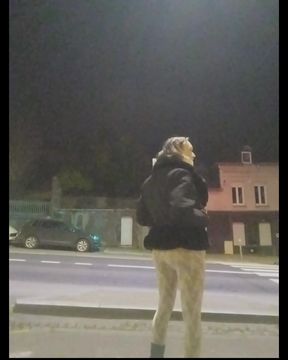 Tilia exhib in Rouen