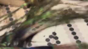 The best objects to use MP4