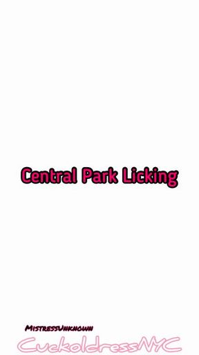 Central Park Licking