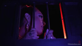CEO Submits to TS Dominatrix