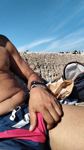 Very Horny on the Beach