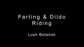 Farting and Dildo Riding