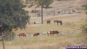 Transsexual hitchhiker Crystal M gets picked up by a driver and returns the favor by sucking his cock in the car and then going for an anal ride!