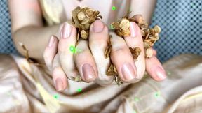 Beautiful hands with veins crush dry flowers