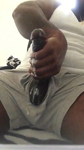 Black Beauty's Solo Cumming Session"