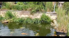 Finally, I'm Going for a Swim