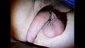 Verga enorme y venosa de macho huevon