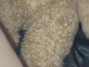 COMPILATION-ICE CREAM-FETISH KINKY FEMALE MASTURBATION-ARABIAN SNOWWHITE WANTS BBC IN LOS ANGELES US