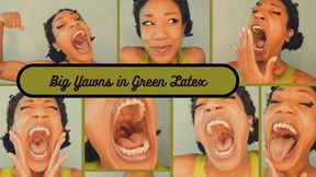 Hildy's Big Juicy Yawns in Green Latex
