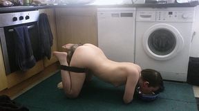pet play with my pretty butt plug tail. don t i look cute drinking out of my water bowl on the floor with my hands in leather...