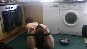 pet play with my pretty butt plug tail. don t i look cute drinking out of my water bowl on the floor with my hands in leather...