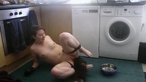 pet play with my pretty butt plug tail. don t i look cute drinking out of my water bowl on the floor with my hands in leather...