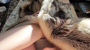 Dirty little devil in a furry coat &mdash;  hairy snatch gets pounded