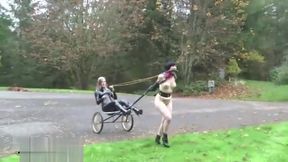 Ponygirl pull the carriage of mistress