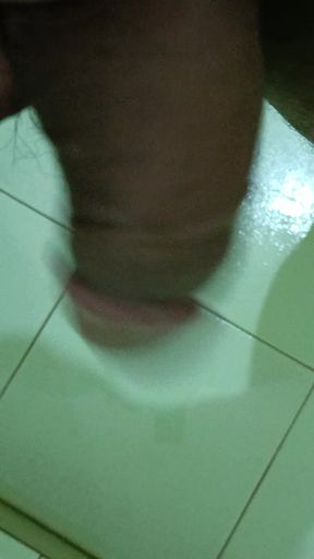 Desi Pissing<br />
Desi Lund<br />
Desi dick