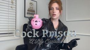 Cock Prison. A Life Sentence!!