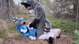 Horny furries fuck in the wild