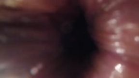 anal vore - Dreaming Giantess, Living Landscape POV, femdom, goddess worship, fantasy 1080