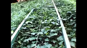 Michelle B: Fuck Me Hard with Your Two Big Cocks